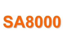 SA8000体系雷竞技官网网址入口
