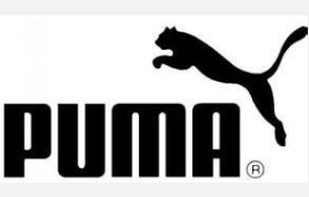 PUMA客户雷竞技app官网网址入口雷竞技官网网址入口