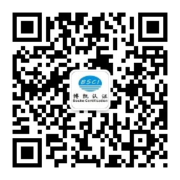 赵老师--体系咨询与雷竞技app官网网址入口高级咨询师
